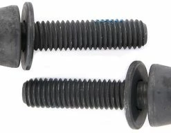 Campagnolo® Vis De Fixation Pour Freins à Disque (pack De 2)
